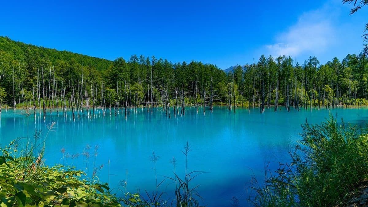 北海道青い池